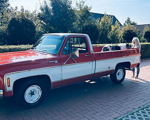 Chevrolet Silverado C10 Longbed Ltd. mit H-Kennzeichen