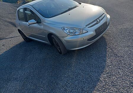 Peugeot 307 Grand Filou 110 Grand Filou