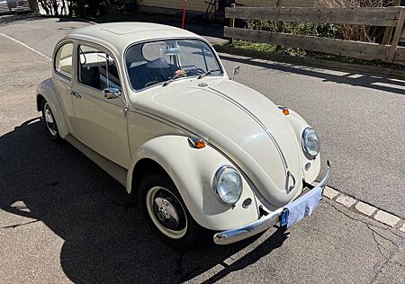 VW Käfer Volkswagen 1500