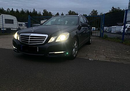 Mercedes-Benz E 220 CDI T BlueEFFICIENCY AVANTGARDE/XENON/AHK