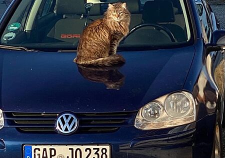 VW Golf Volkswagen 1.4 Goal Goal