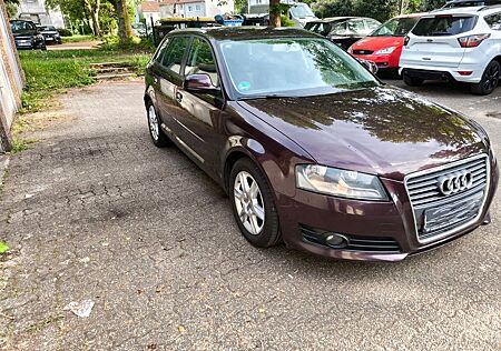 Audi A3 1.6 TDI (DPF) 102g CO2 Attract. Sportb. A...