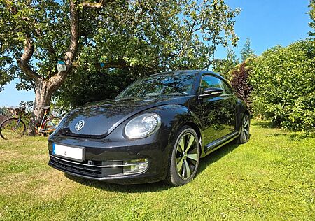 VW Beetle Volkswagen 1.4 TSI Fender Edition TOP Zustand!