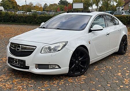 Opel Insignia gebraucht kaufen Opel Insignia A 2.0CDTI*OPC-LINE*VOLLAUSSTATTUNG*SD*