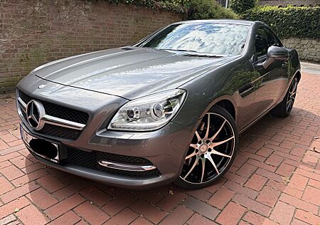 Mercedes-Benz SLK 350 Magic Sky DAB Navi Holz Leder LM19 2.Hd