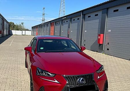 Lexus IS 300 300h F-Sport Automatik F-Sport