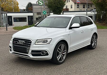 Audi SQ5 3.0 TDI Competition quattro Pano B&O Ab-Temp