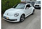 VW Beetle Volkswagen Lim. Cup/Pano/Sitzheizung/Navi
