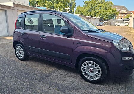 Fiat Panda 1.2 *1.Hand*sehr gepflegt*