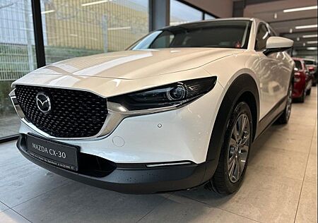 Mazda CX-30 Takumi 186 PS *Leder*Bose*GSD*NEU-TZ*