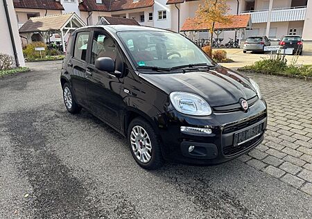 Fiat Panda gebraucht kaufen Fiat Panda 1.2 Benzin 1 Hand 8fach bereift Klima
