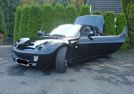 Smart Roadster 60kW - mit Sonder-Ausstattung
