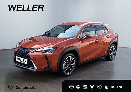 Lexus UX 250h Amazing Edition *Bi-LED*ACC*PDC*SHZ*DAB*