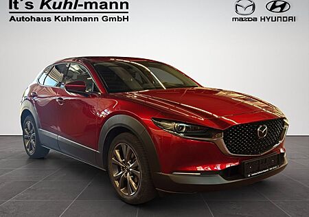 Mazda CX-3 CX-30 Selection 2WD