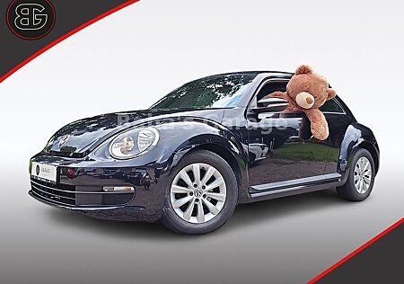 VW Beetle Volkswagen Käfer Klima SHZ Navi Inspektion Neu