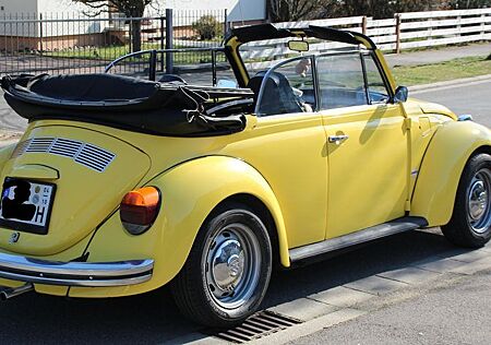 VW Käfer Volkswagen