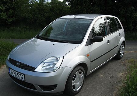 Ford Fiesta 1,3 51 kW Viva