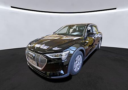 Audi e-tron 55 QUATTRO 19Z./AIR-SUS/DAB/APS+/AHK/VC