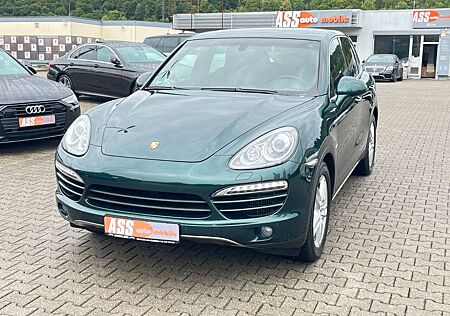 Porsche Cayenne gebraucht kaufen Porsche Cayenne Cayenne3.0D/OffRoadPak/Kam/Bi-XenPDLS/Luftf/AHK/