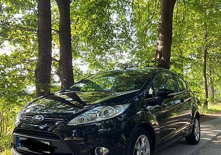 Ford Fiesta gut gepflegter