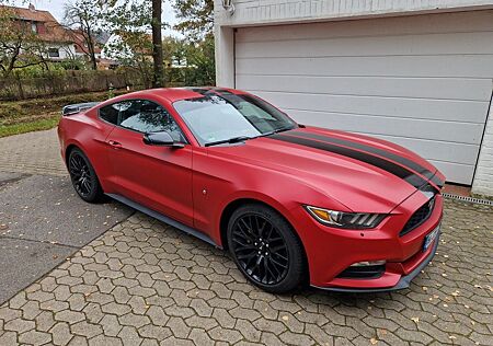 Ford Mustang V6 3,7L matt rot