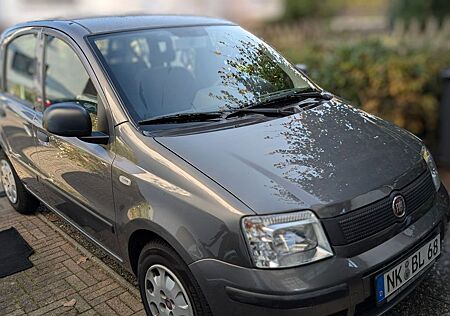 Fiat Panda 1,2 l, 51 kW grau