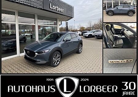 Mazda CX-30 M-HYBRID-X 179PS SELECTION A18 BOSE DES-P