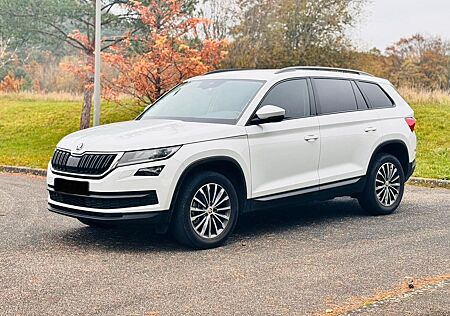 Skoda Kodiaq 2.0l TDI DSG 7Platz Virtuell Kamera