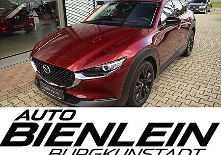Mazda CX-30 2.5 140PS 6AG Homura Voll-LED Navi Kamera