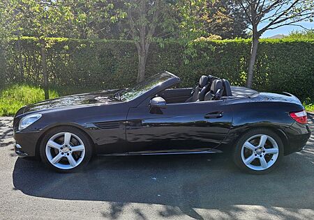 Mercedes-Benz SLK 250 CDI BlueEFFICIENCY W172