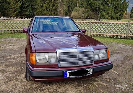 Mercedes-Benz E 300 / W124 | 24V - Herbstangebot
