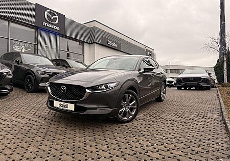 Mazda CX-30 AWD 122 PS Secection AHK LEDER BOSE