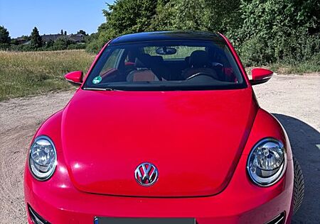 VW Beetle Volkswagen 1.2 TSI Standheizung Panorama