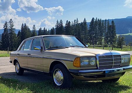 Mercedes-Benz E 200 W 123 Oldtimer Classic Data 3+