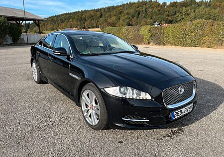 Jaguar XJ Portfolio 3.0 V6 Diesel S Portfolio 8fach