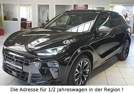 Cupra Terramar 2.0 TSI DSG 4Drive*AHK*PANO*HEADUP*ACC