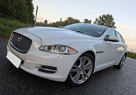Jaguar XJ Premium Luxury 5.0 V8 gepflegt und sauber
