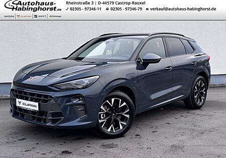 Cupra Terramar 1.5 e-Hybrid DSG Head-Up Navi Park Assi