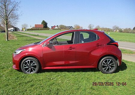 Toyota Yaris Club