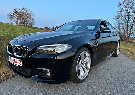 BMW 528i M Sportpaket SH Head up Alcantara