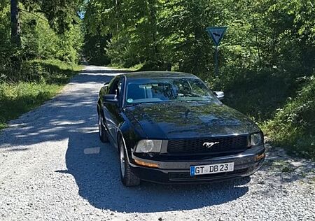Ford Mustang gebraucht kaufen Ford Mustang