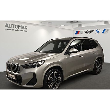 BMW X1 leasen