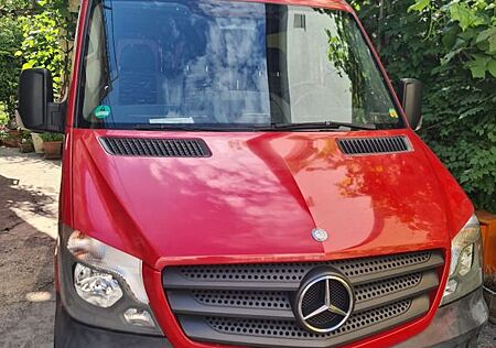 Mercedes-Benz Sprinter 313 CDI / TÜV neu