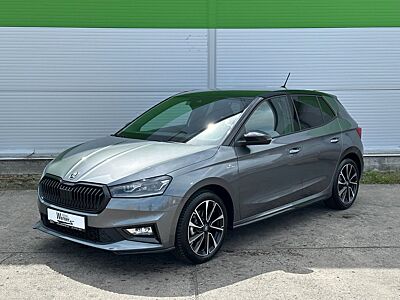 Skoda 116PS DSG Monte Carlo Side Assist KAMERA LM17"