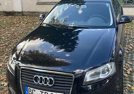 Audi A3 1.9 TDI (DPF) Ambition, BOSE, Xenon, Klimaaut