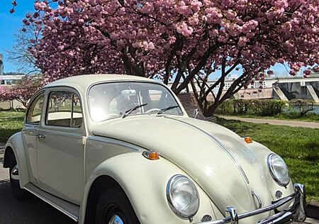 VW Käfer Volkswagen 1200