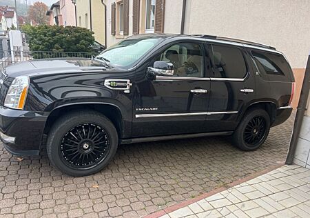 Cadillac Escalade Hybrid Autom. Platinum