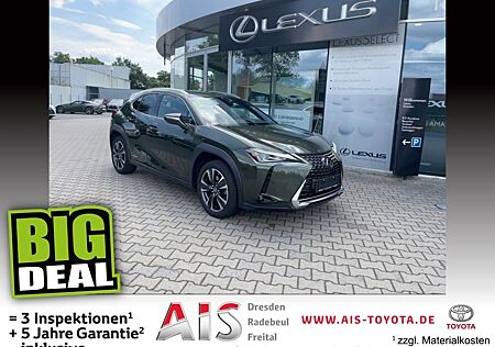 Lexus UX 250h Style Edition ACC FLA SpurH LM KAM LED