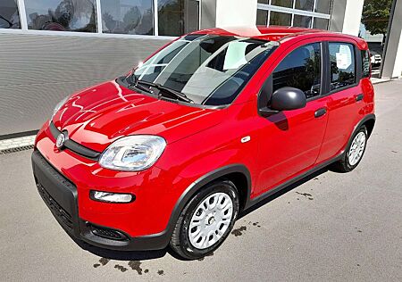 Fiat Panda 1.0 GSE Hybrid City-Paket Start-Stopp Temp