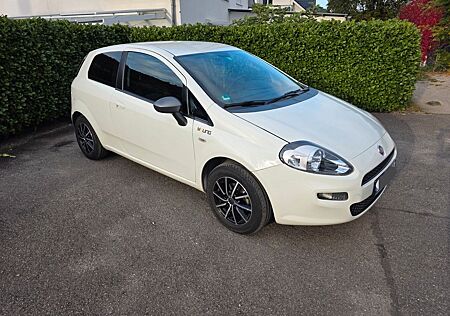 Fiat Punto 1.2 YOUNG 8-fach gepflegt !!